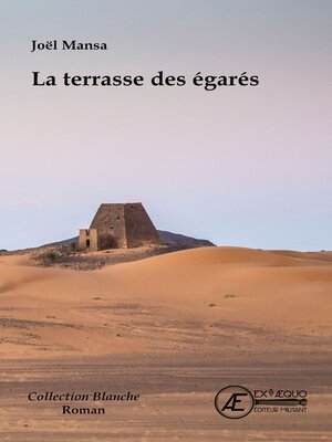 cover image of La terrasse des égarés